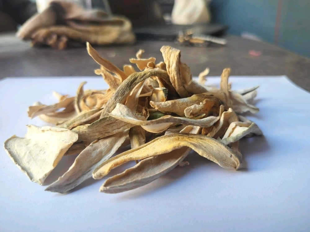 Dehydrated Raw Mango